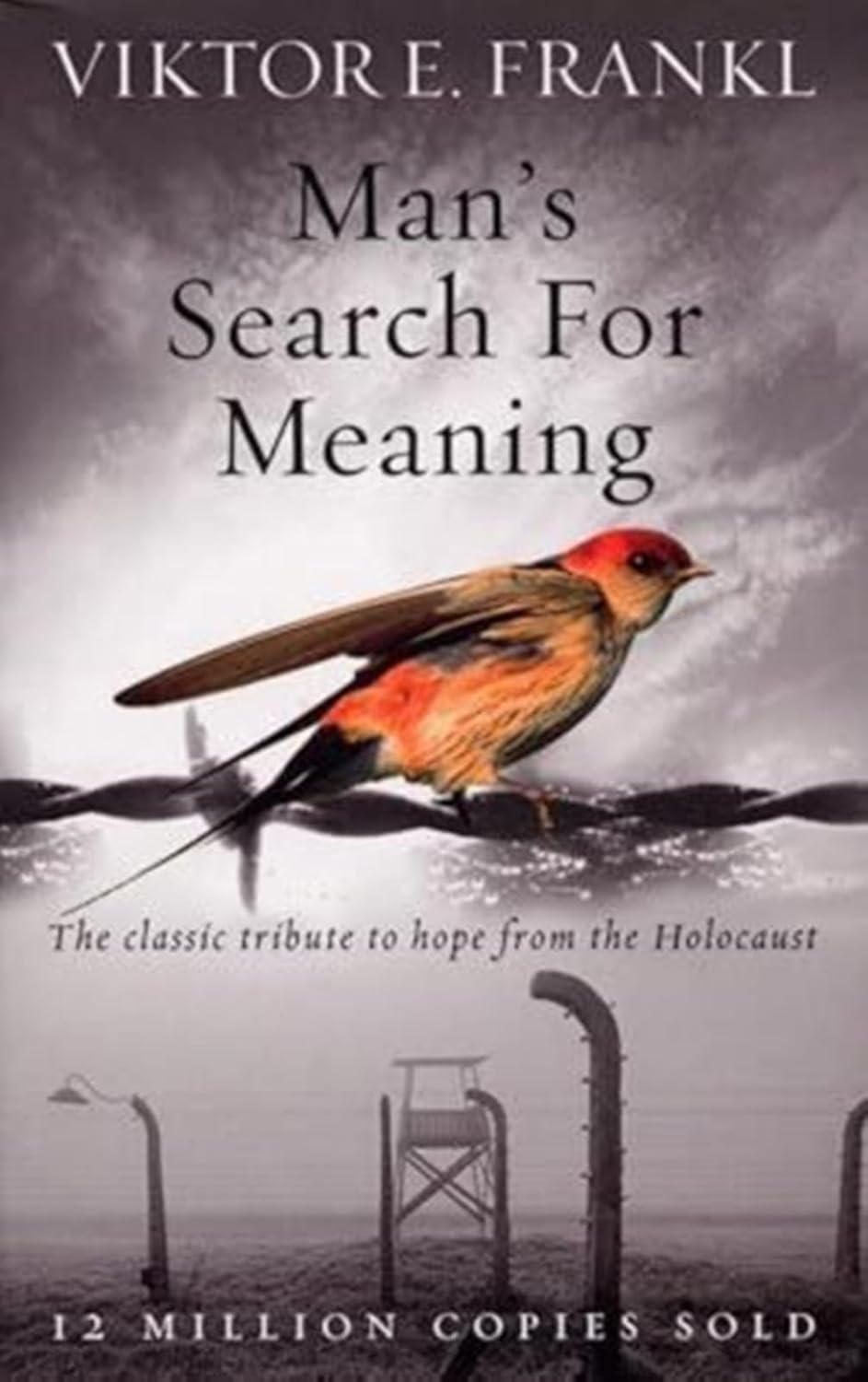 Man's Search For Meaning: The classic tribute to hope from the Holocaust | Viktor E Frankl 